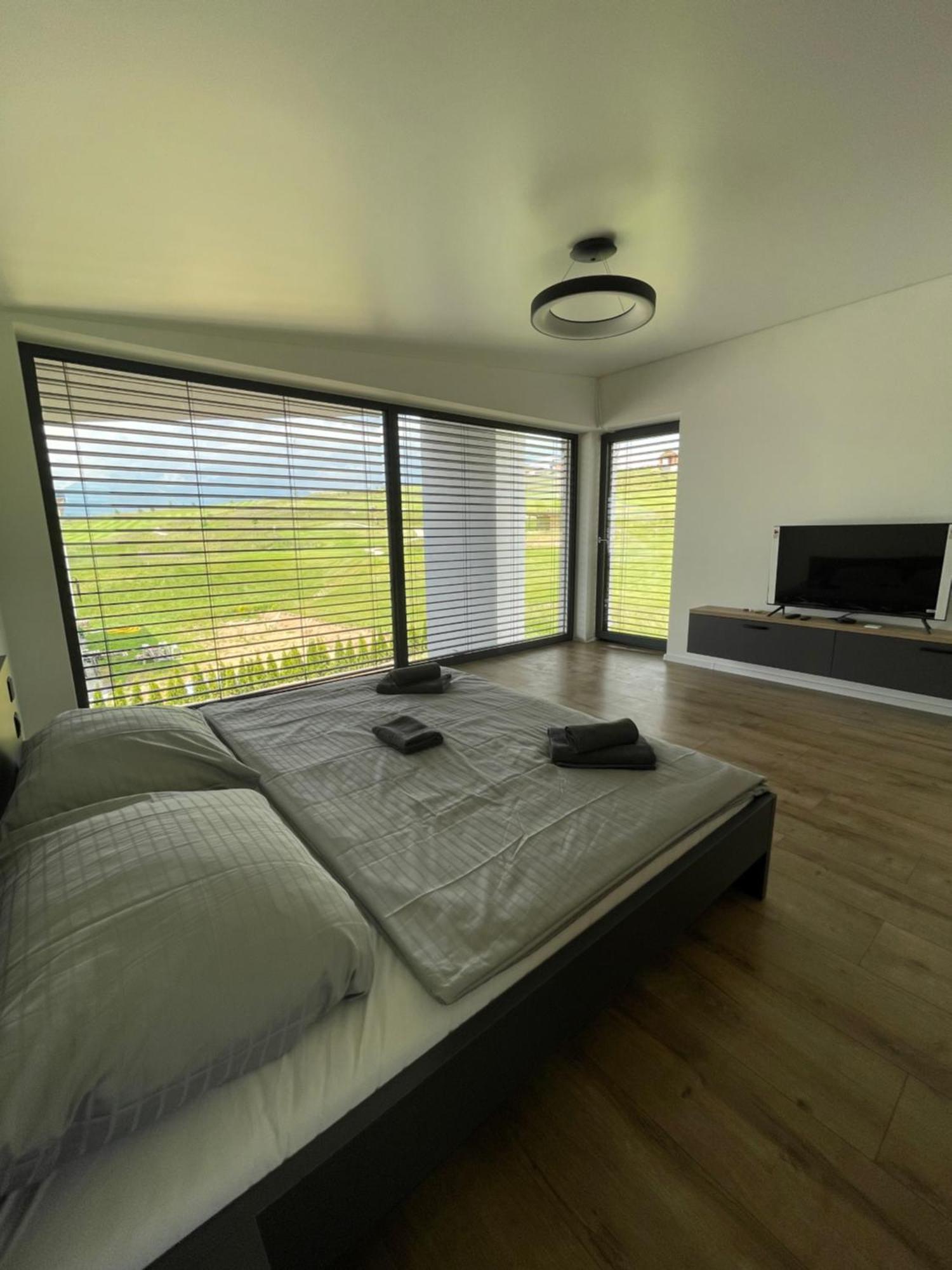 Luxury Apartments Maly Slavkov Ngoại thất bức ảnh